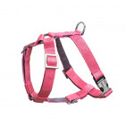 BBR-DH-BLOOM-PINK-L